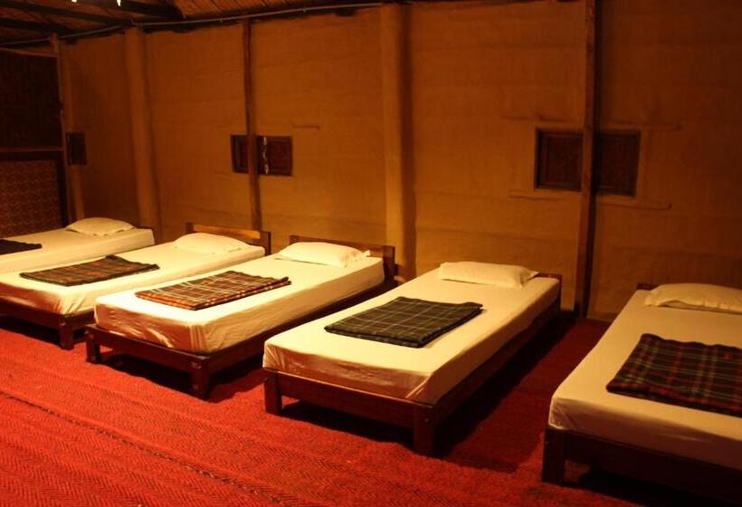 ファミリールーム, Nature Hunt Eco Camp