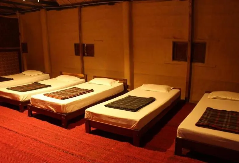 ファミリールーム, Nature Hunt Eco Camp