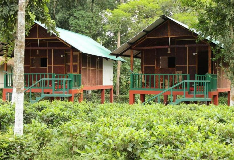 غرفة قياسية سرير كينج, Nature Hunt Eco Camp