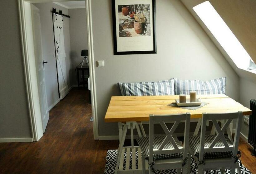 شقة غرفة واحدة, Friesen Lodge Apartments