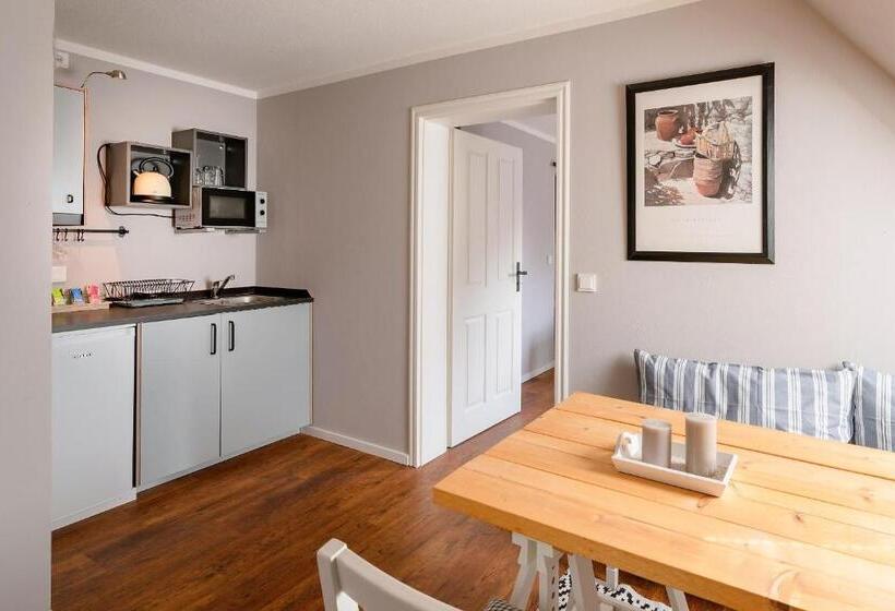 شقة غرفة واحدة, Friesen Lodge Apartments