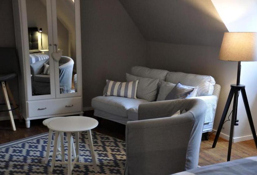 شقة غرفة واحدة, Friesen Lodge Apartments