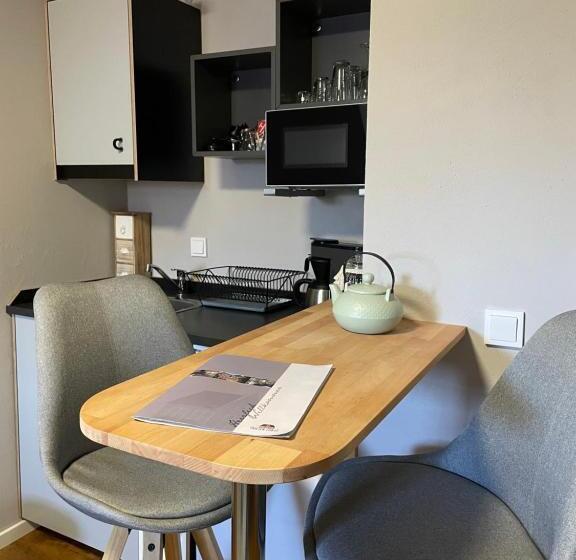 شقة غرفة واحدة, Friesen Lodge Apartments