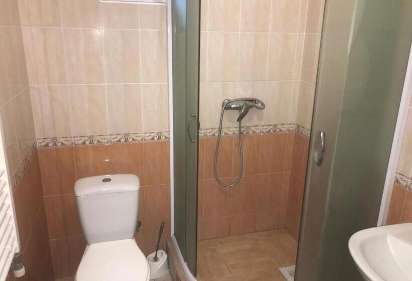 غرفة إقتصادية, Domino