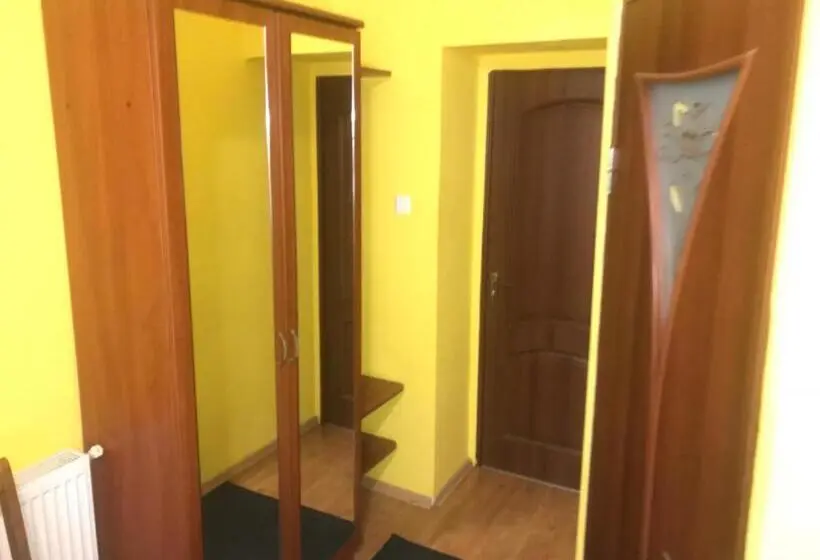 اتاق اکونومی, Domino