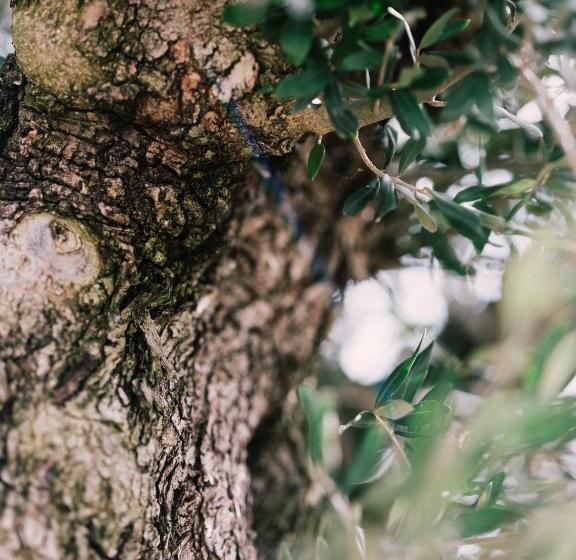 套房带园景, Gartenlofts Auf Gut Guntrams