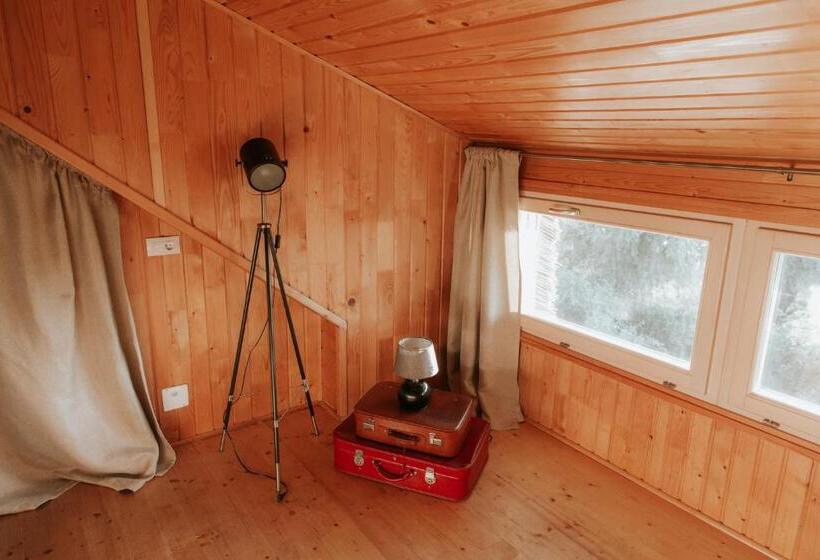 스탠다드 룸 킹사이즈 침대, Living In Delta   Casa De Vacanta