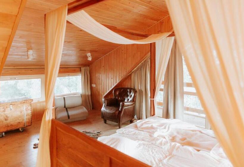 스탠다드 룸 킹사이즈 침대, Living In Delta   Casa De Vacanta