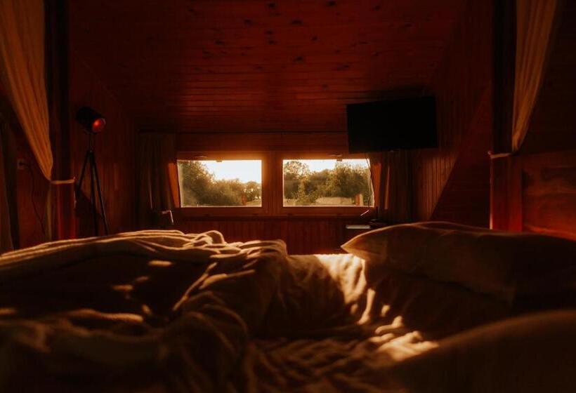 Стандартный Номер Кровать Кинг, Living In Delta   Casa De Vacanta