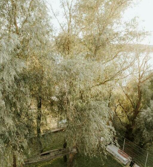 스탠다드 룸 킹사이즈 침대, Living In Delta   Casa De Vacanta