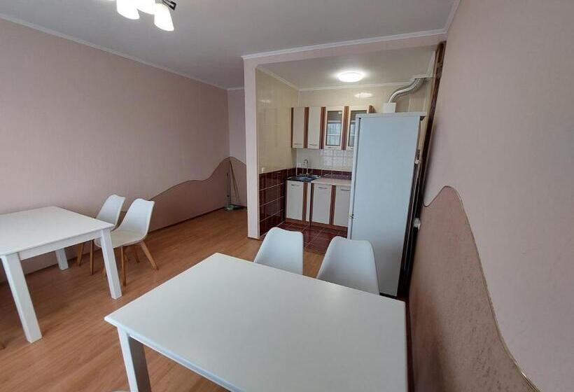 اتاق اکونومی, Pyate Koleso