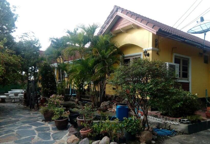 标准间, Daddy S Homestay