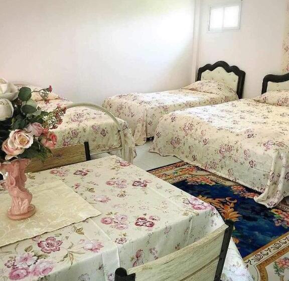 家庭间, Daddy S Homestay