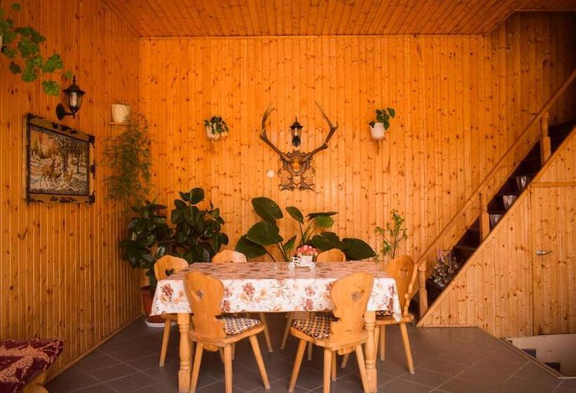 침실 4개 주택, Pensiunea Casa Ioana