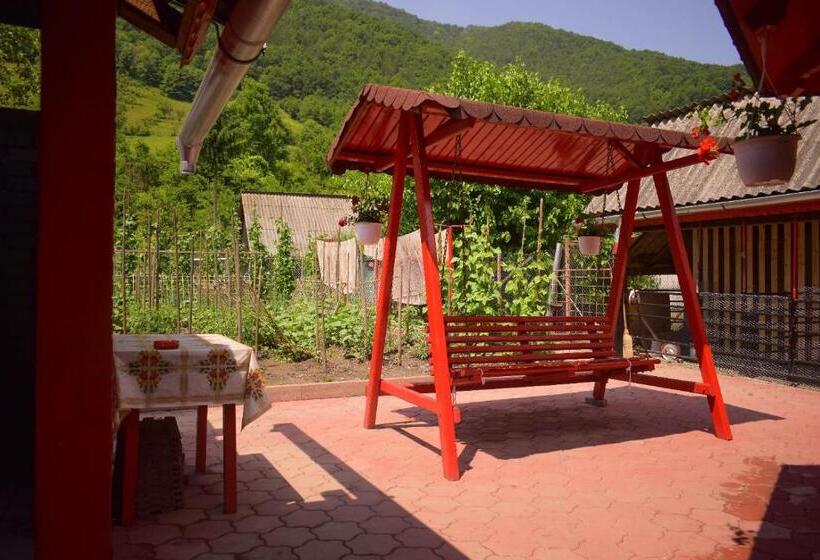 침실 4개 주택, Pensiunea Casa Ioana