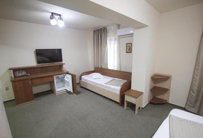 带1个卧室的公寓, Teju Hotels