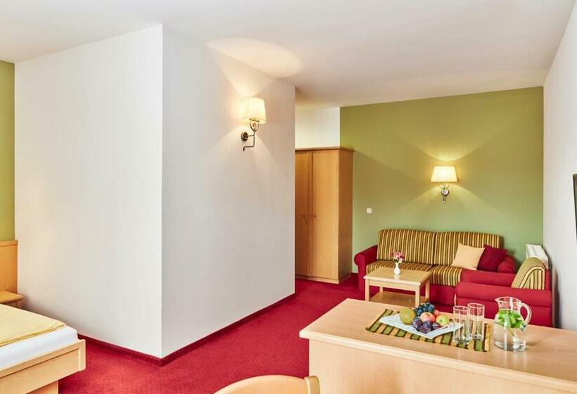 스탠다드 룸, Domittner