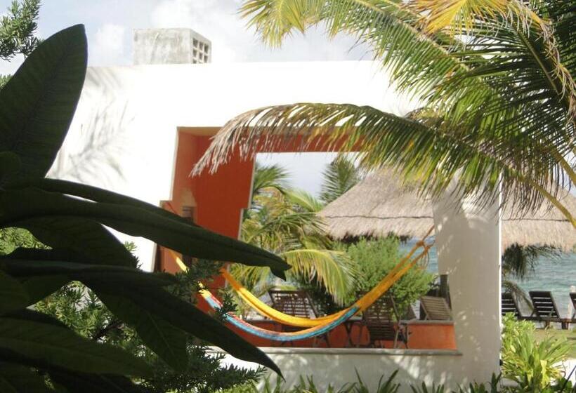 בקתה סטנדרטית, Mayan Beach Garden