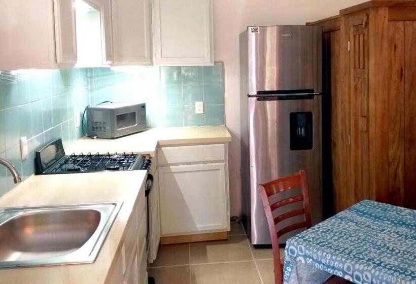 חדר סופריור, Mayan Beach Garden