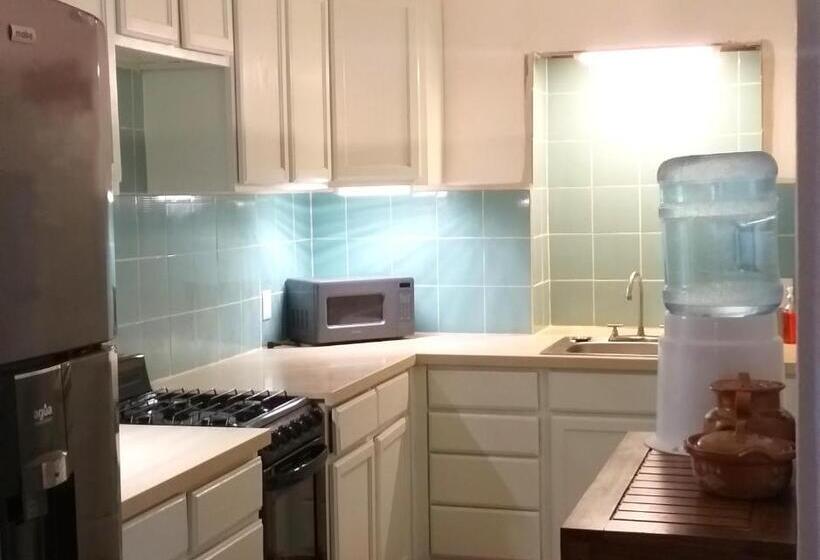 סטודיו דלוקס, Mayan Beach Garden