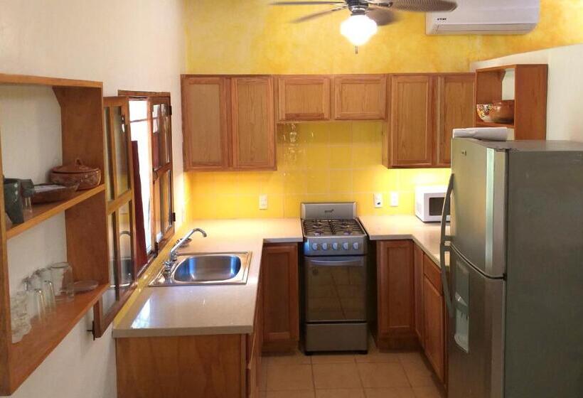 חדר סטודיו סטנדרד, Mayan Beach Garden