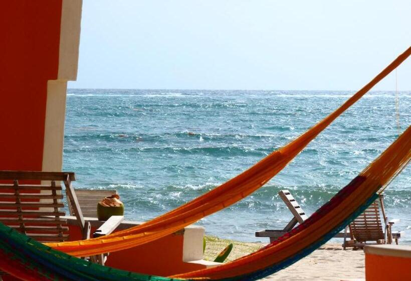 בקתה סטנדרטית, Mayan Beach Garden