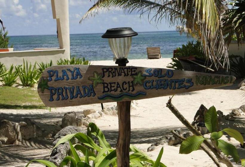 בקתה סטנדרטית, Mayan Beach Garden