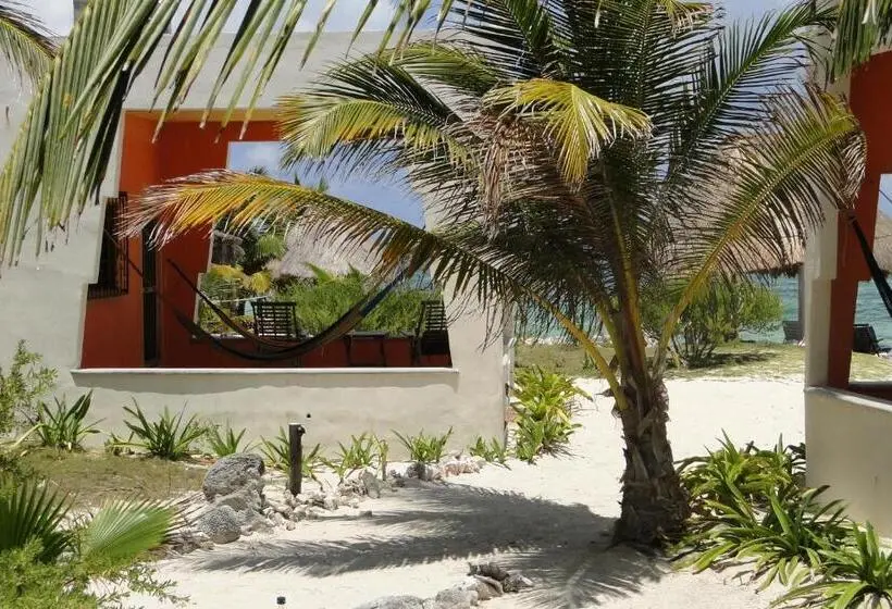 １階の１ベッドルームアパートメント, Mayan Beach Garden