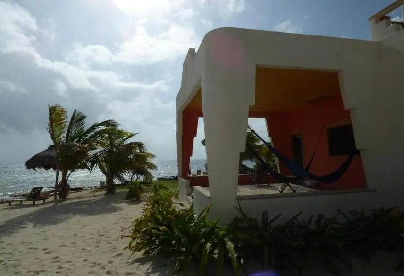 １階の１ベッドルームアパートメント, Mayan Beach Garden