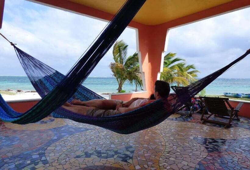 １階の１ベッドルームアパートメント, Mayan Beach Garden