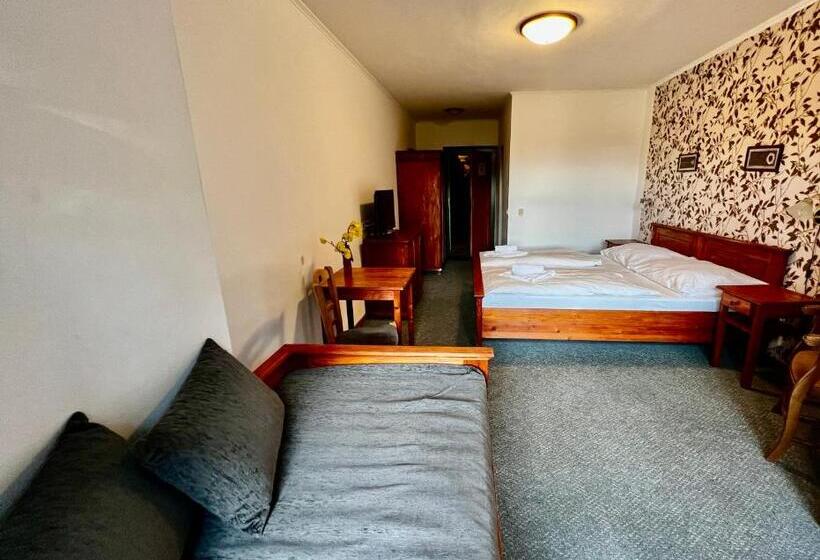 חדר סטנדרט לשלושה, Modrava