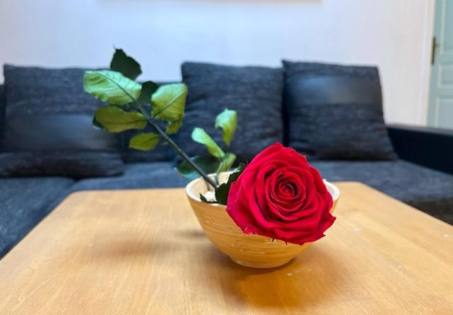 דירת חדר סופריור, Modrava