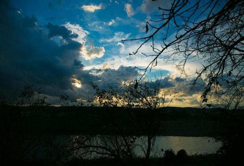 Номер Стандарт с Террасой, Isamikan