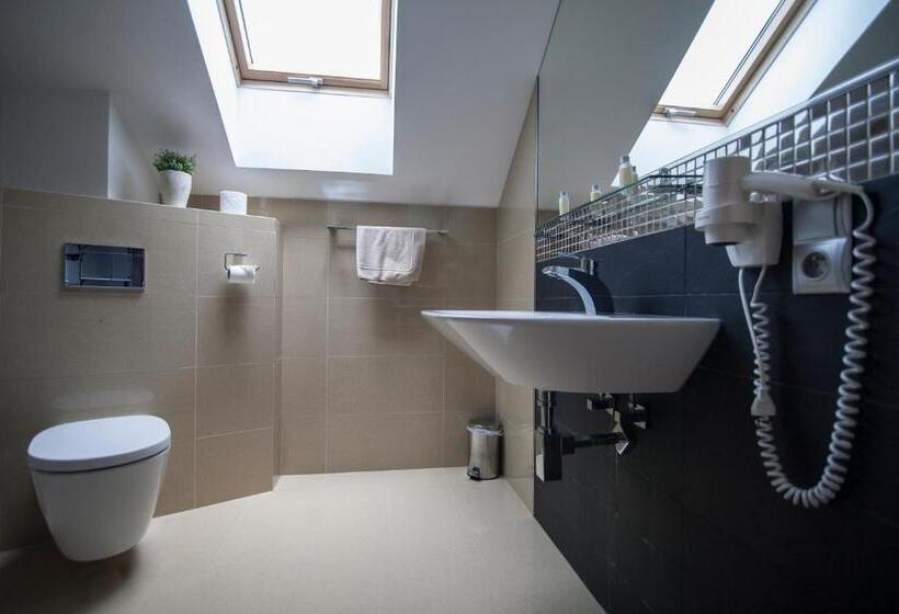 חדר דלוקס, Krušnohorský Dvůr