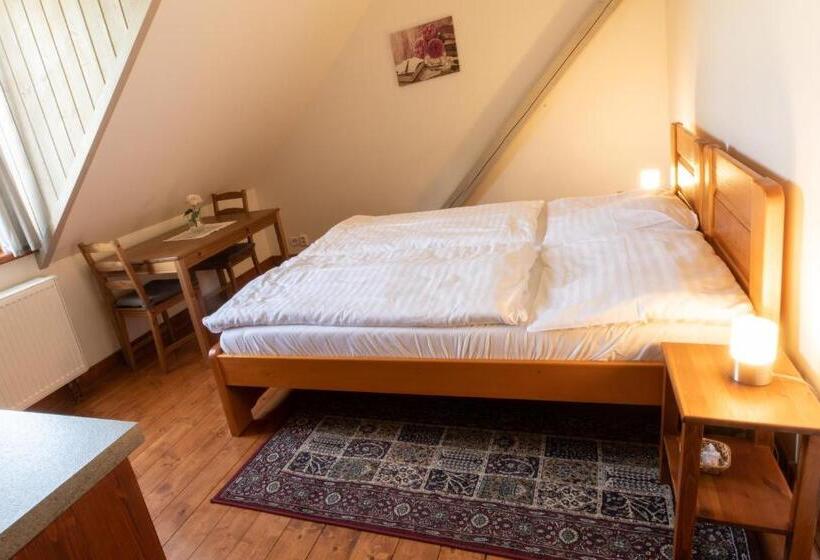 חדר סטנדרט, Penzion Dvůr Krasíkov