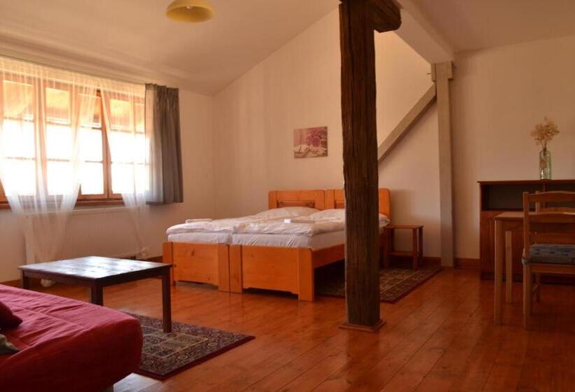 חדר סטנדרט, Penzion Dvůr Krasíkov