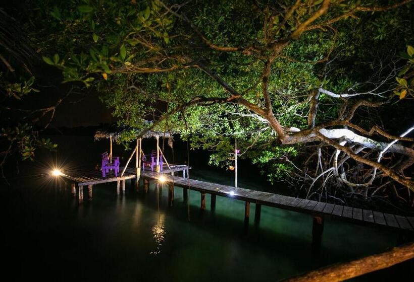 بنجلو عائلى مطل على البحر, Urraca Monkey Island Eco Resort