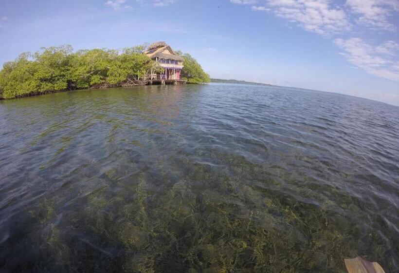 بنجلو عائلى مطل على البحر, Urraca Monkey Island Eco Resort