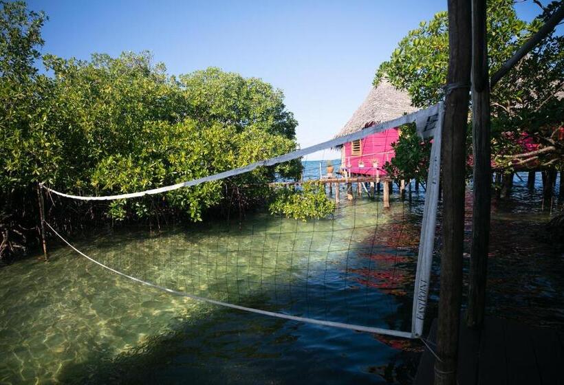 بنجلو قياسى, Urraca Monkey Island Eco Resort