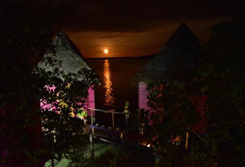 بنجلو قياسى, Urraca Monkey Island Eco Resort