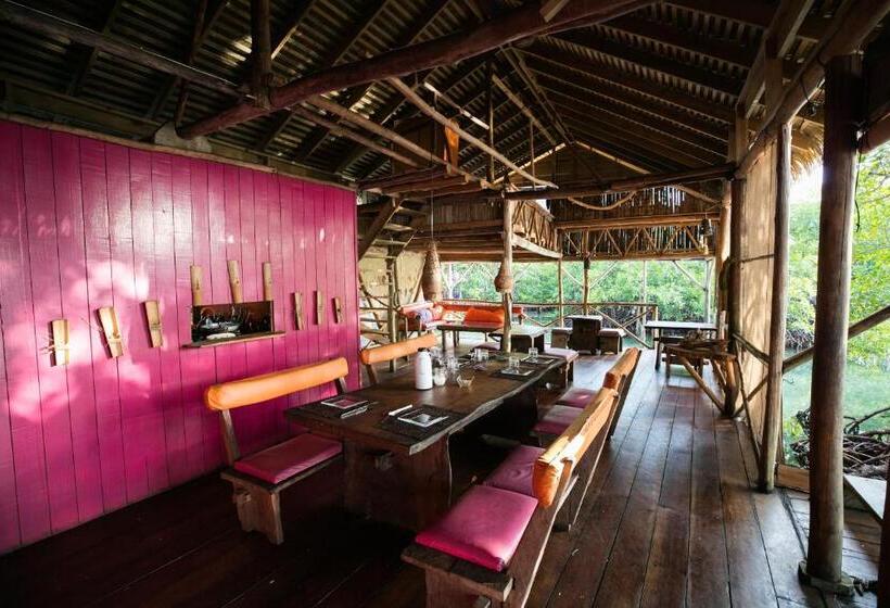 بنجلو قياسى, Urraca Monkey Island Eco Resort