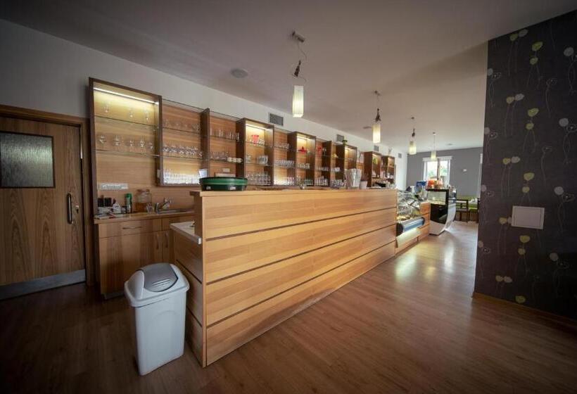 اتاق لوکس با بالکن, Penzion U Bláhů