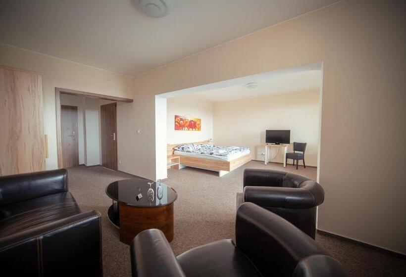 اتاق لوکس با بالکن, Penzion U Bláhů