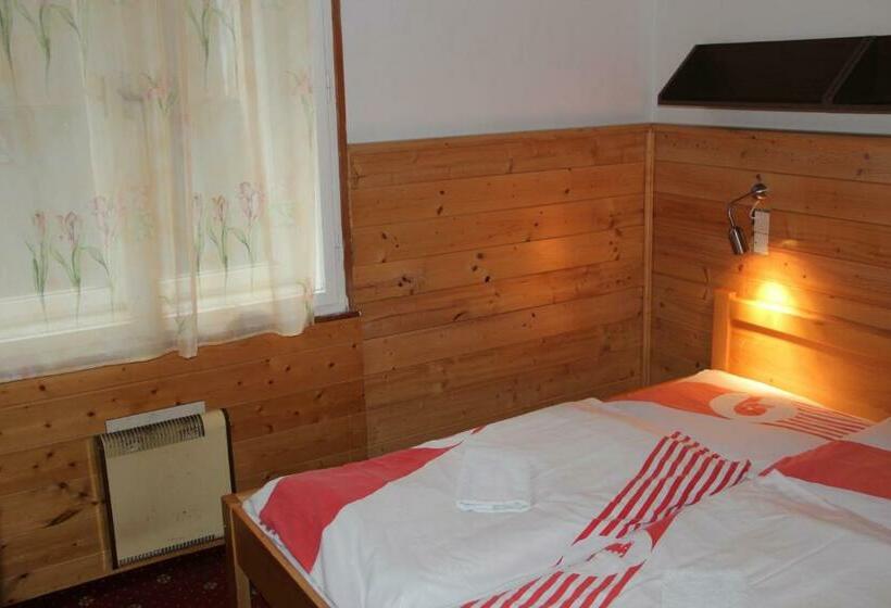 Номер Стандарт Четырехместный Совместный Санузел, Penzion U Kotle