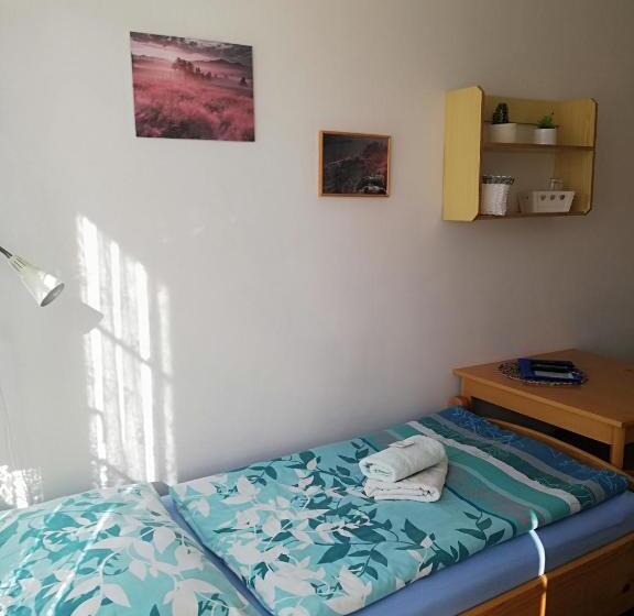 חדר סטנדרט יחיד, Pension Pastis