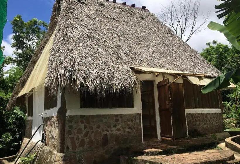 家族用バンガロー, El Zopilote