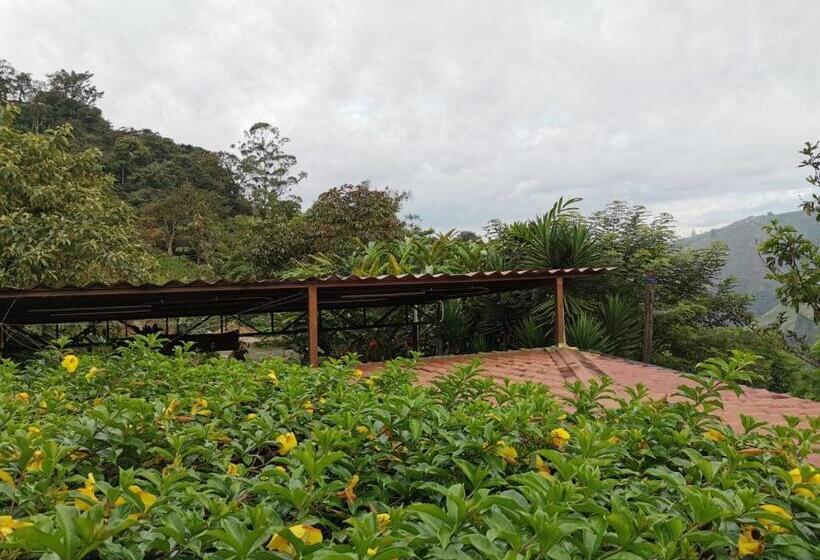 اتاق استاندارد با تخت بزرگ, Hosteria Florecer