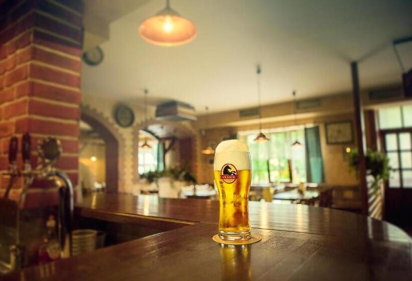 클래식 스위트, Penzion Pivovar Vraník