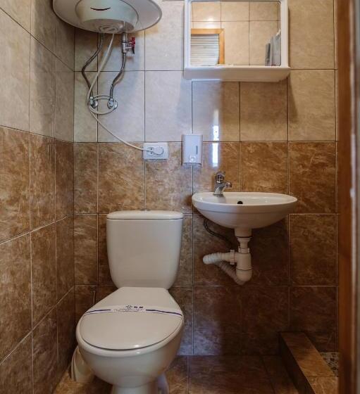 غرفة قياسية, рибничанка