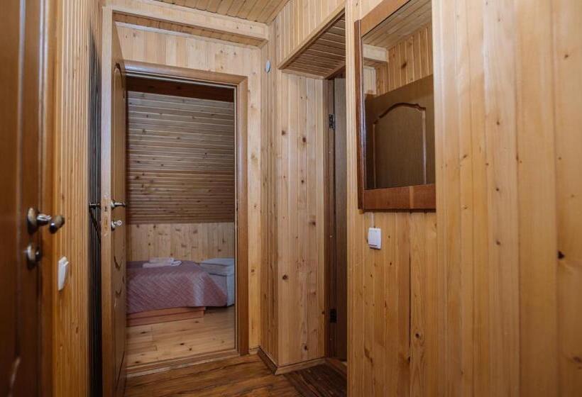 غرفة قياسية رباعية, рибничанка